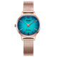 Slim WRS204